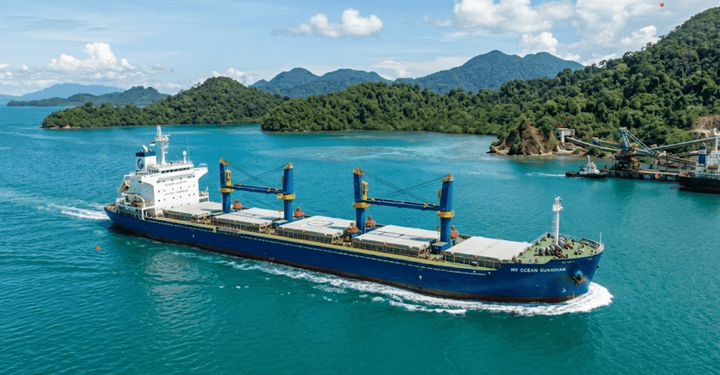 Bulk Carrier Ship for Sale: 2026 SE Asia Mining & Logistics Guide