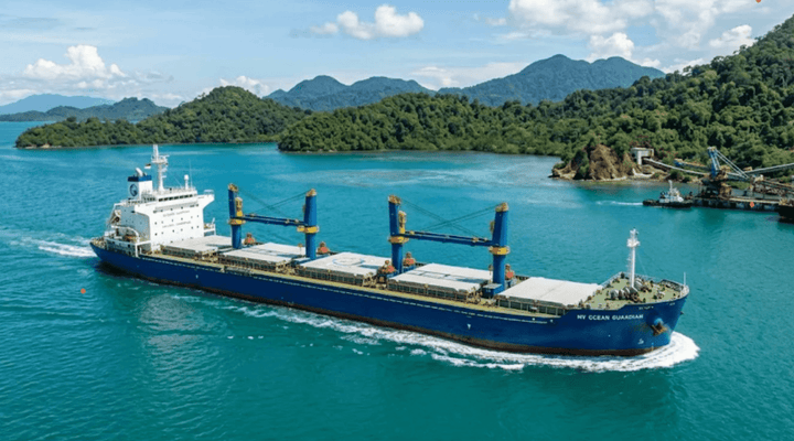 Bulk Carrier Ship for Sale: 2026 SE Asia Mining & Logistics Guide
