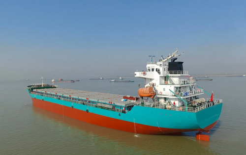 Ship For Sale | 10000 DWT 392 TEU Container Ship For Sale (2022 Built)